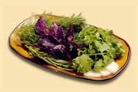 польза зелени Польза зелени. Розмарин, базилик, руккола, листовой сельдерей, укроп, мята, петрушка