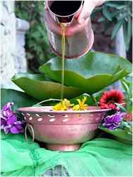 Сыроедение похудение. Сыроедение рецепты Сыроедение для похудения