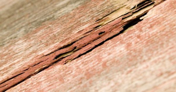 Лак предотвращает повреждения от УФ лучей