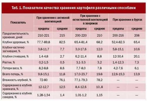 При, какой температуре может замерзнуть картошка. Как не допустить замерзание запасов