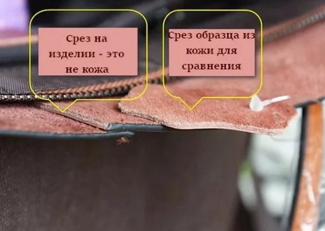 Сравнение среза натуральной кожи и искусственной